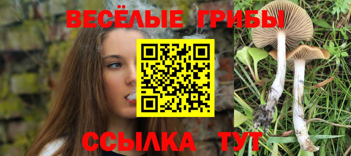 Галлюциногенные грибы Magic Shrooms  Вход с VPN  Вольск  Псилоцибиновые грибы MAGIC MUSHROOMS 